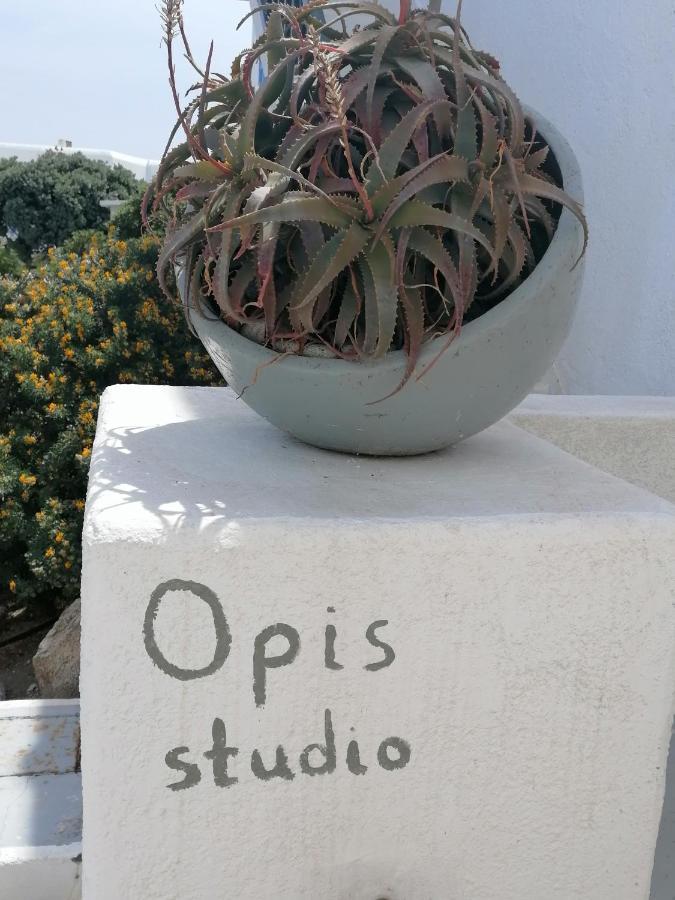 Opis Studio Ornos  Luaran gambar